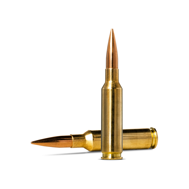 Norma 6.5 Creedmoor 143gr BTHP Brass – 20rd